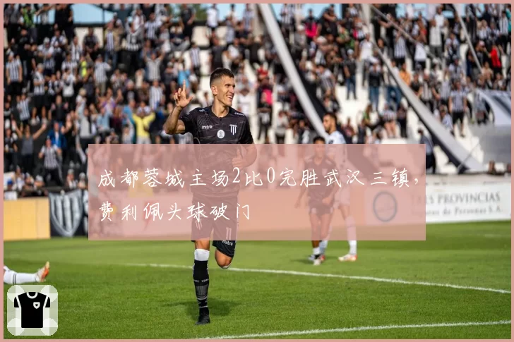 成都蓉城主场2比0完胜武汉三镇,费利佩头球破门