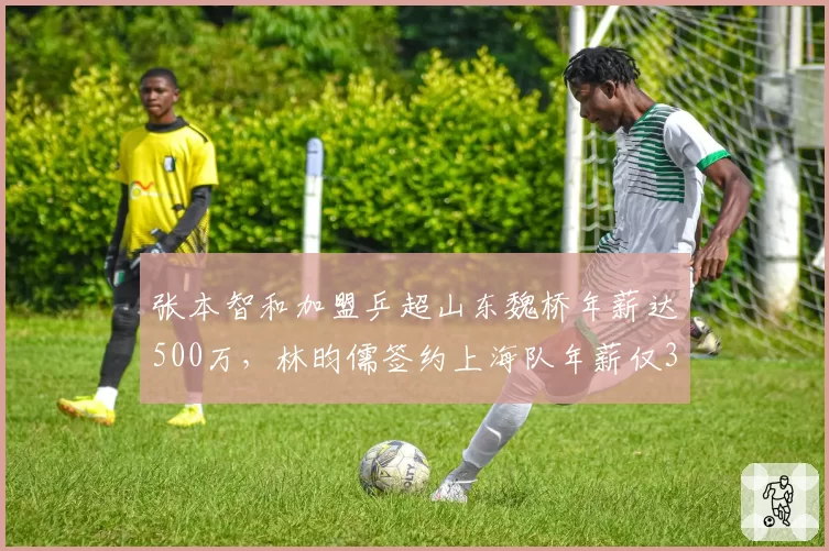 张本智和加盟乒超山东魏桥年薪达500万，林昀儒签约上海队年薪仅300万